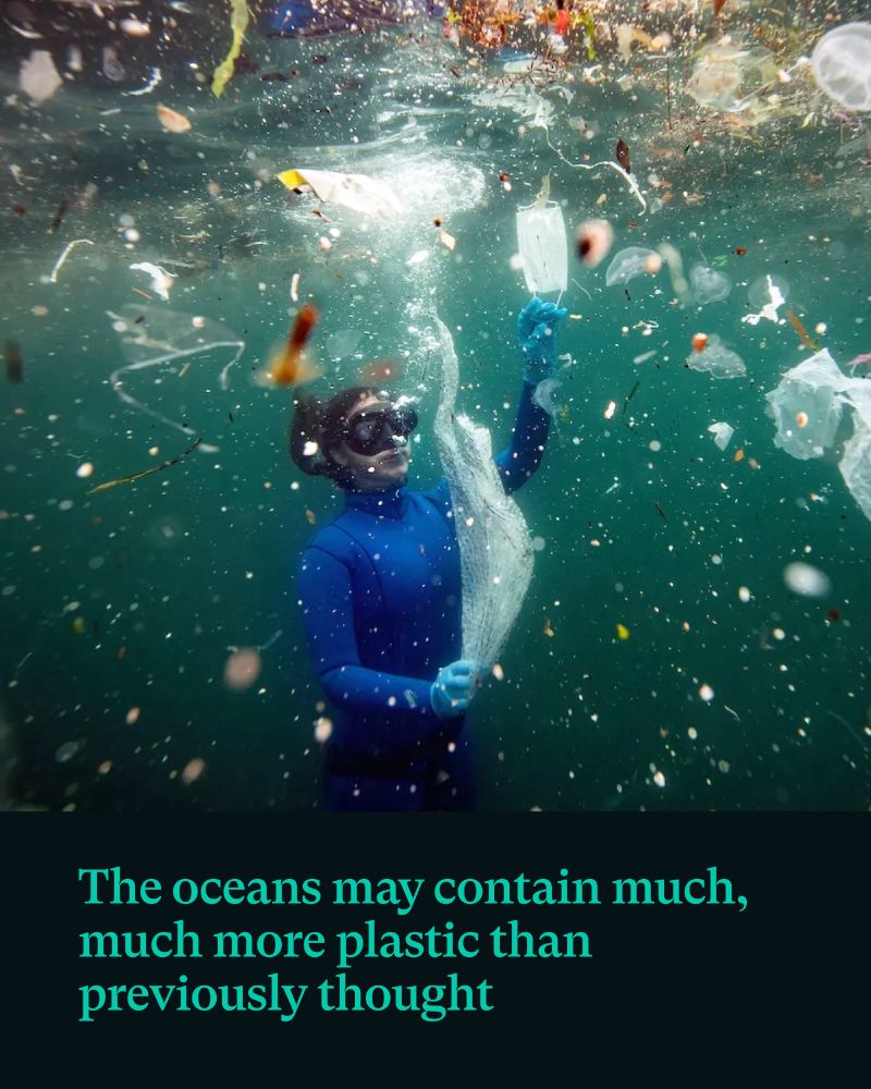 A diver in the ocean with small and medium sized plastic pieces floating around her. The text reads, the Oceans may contain much , much more plastic  than previously thought.