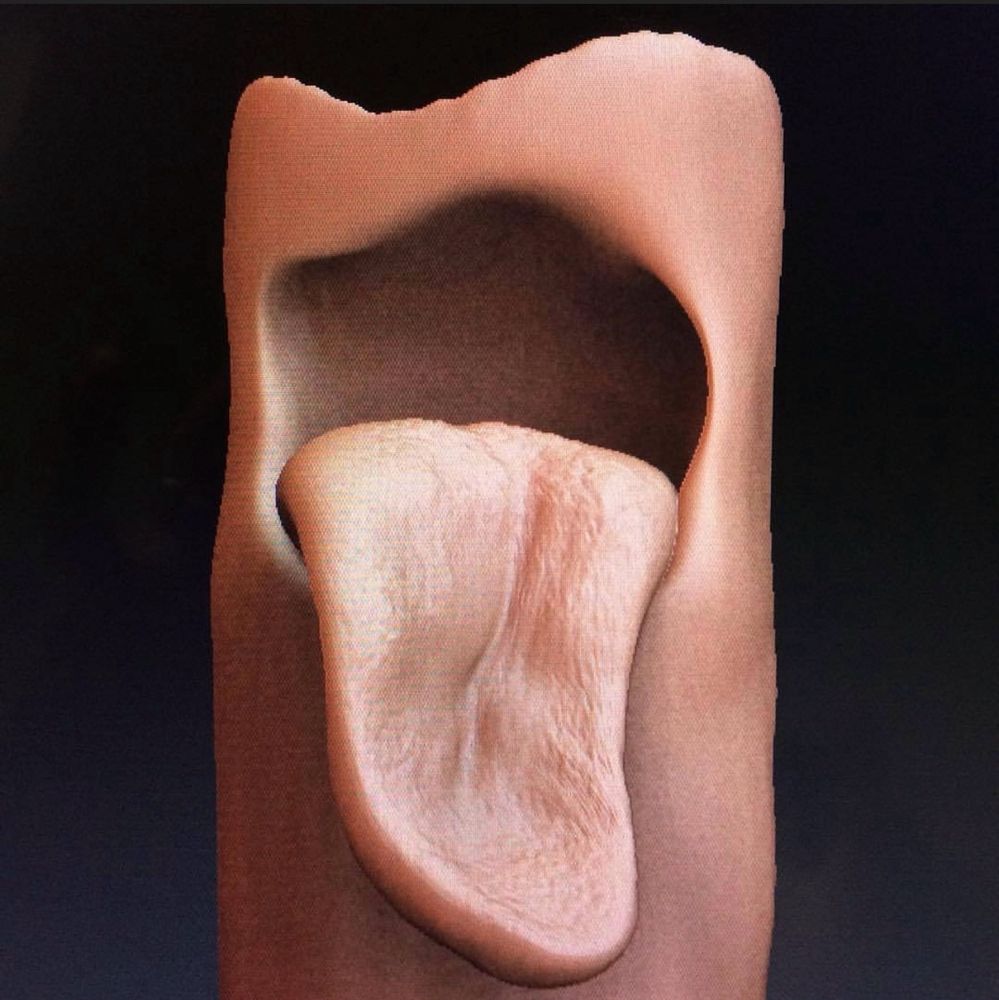 A digital sculpt of a tongue