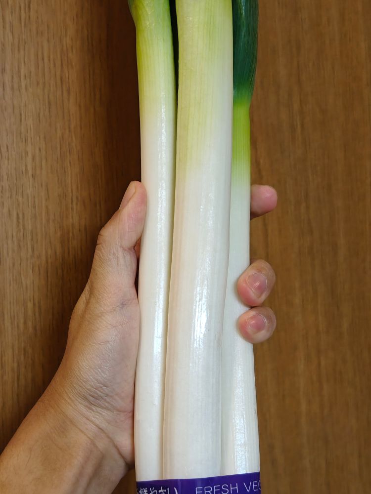 太いネギ