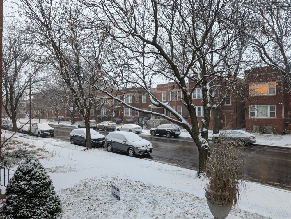 A street scene on a snowy day, looking down a tree-lined residential street with cars parked along the curb. The ground, trees, and cars are covered in a light dusting of snow. On the right side of the street, there are two-story brick apartment buildings with some windows showing warm yellow light. On the left, more bare trees are visible. The sky is overcast and grey. In the foreground, there's a snow-covered evergreen bush and a decorative planter with dried grasses. A "for sale" sign is partially visible in the snowy grass on the left.