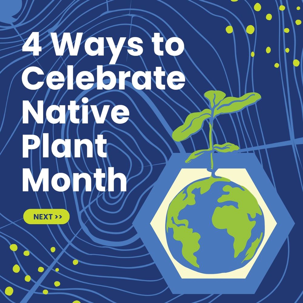 Cover image: 4 ways to celebrate Native Plant Month