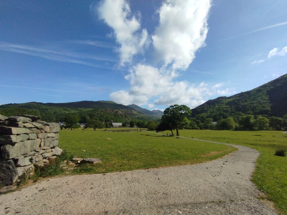 A path leading towards a single tree, green grass all around, a blue sky with wispy clouds and mountains in the background.
