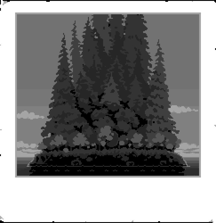 Black and white photograph of a small island covered in tall fur or spruce trees.