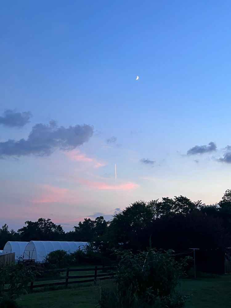 a picture of a pink and blue sunset with a plane trail and a crescent moon