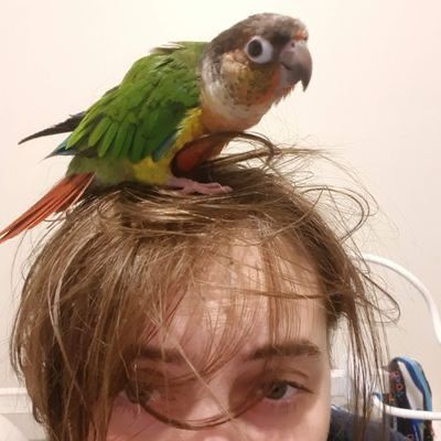 Me with my hair being messed by my green cheek conure Eo who looked very proud of himself