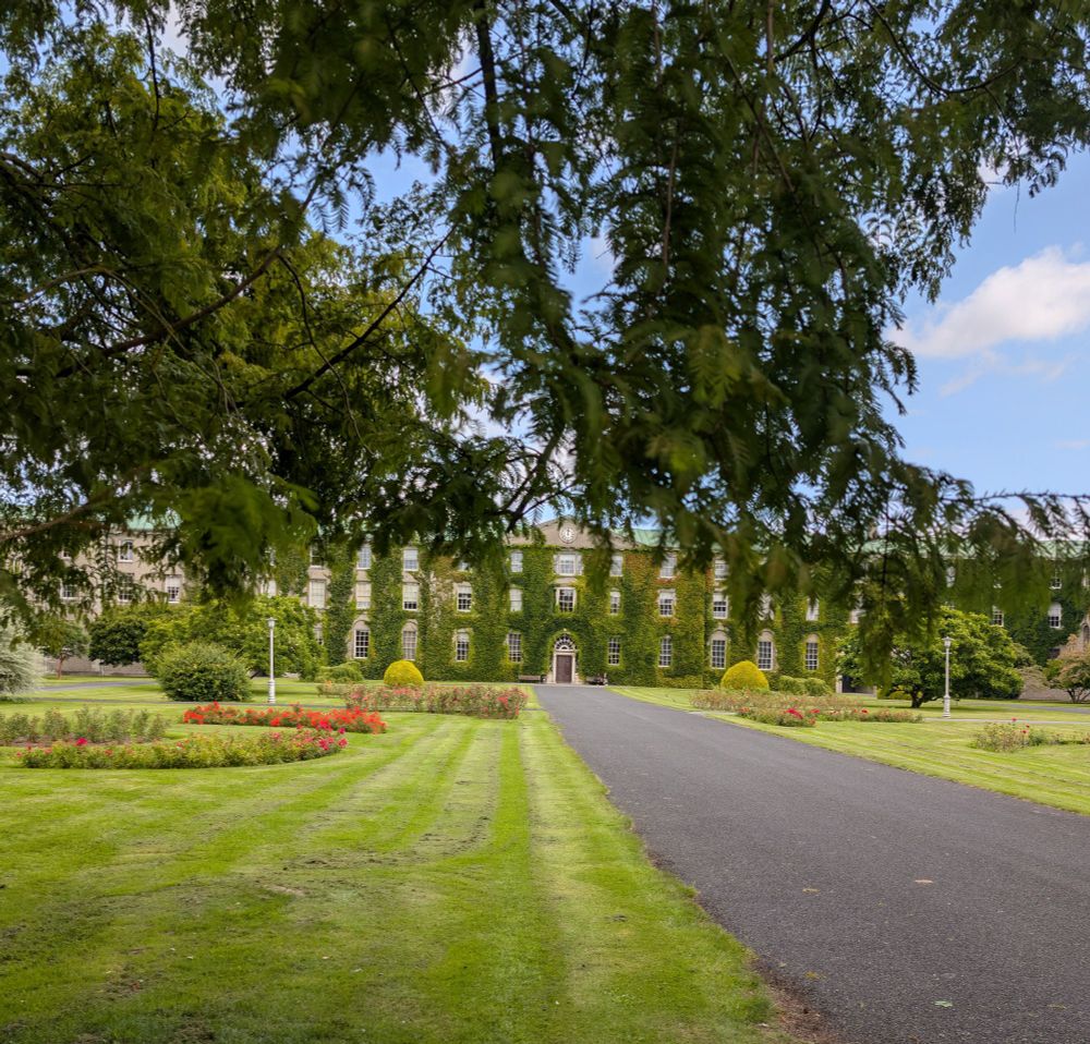 green lawn with bright red flowers and a building covered in ivy in the background