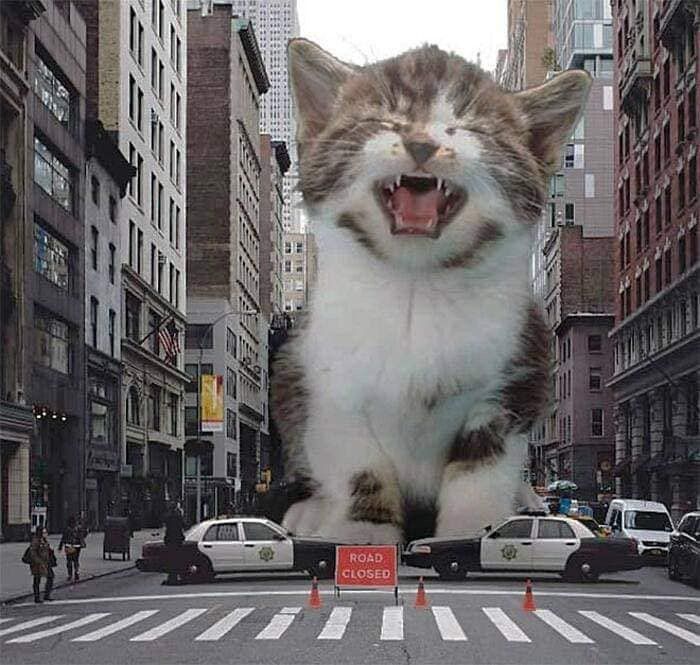 Mega sized Cat running through New York trampling police cars