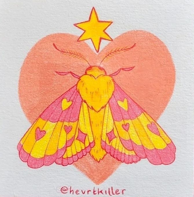 desenho em lápis de cor de uma mariposa-rosada-do-bordo. feito num papel off-white montval da canson, tem um coração salmão no fundo, uma estrelinha de seis pontas amarela no topo e a mariposa é uma versão ilustrada de uma visão de topo em rosa e amarelo, mas com coraçõezinhos e estrelinhas nas asas semiabertas