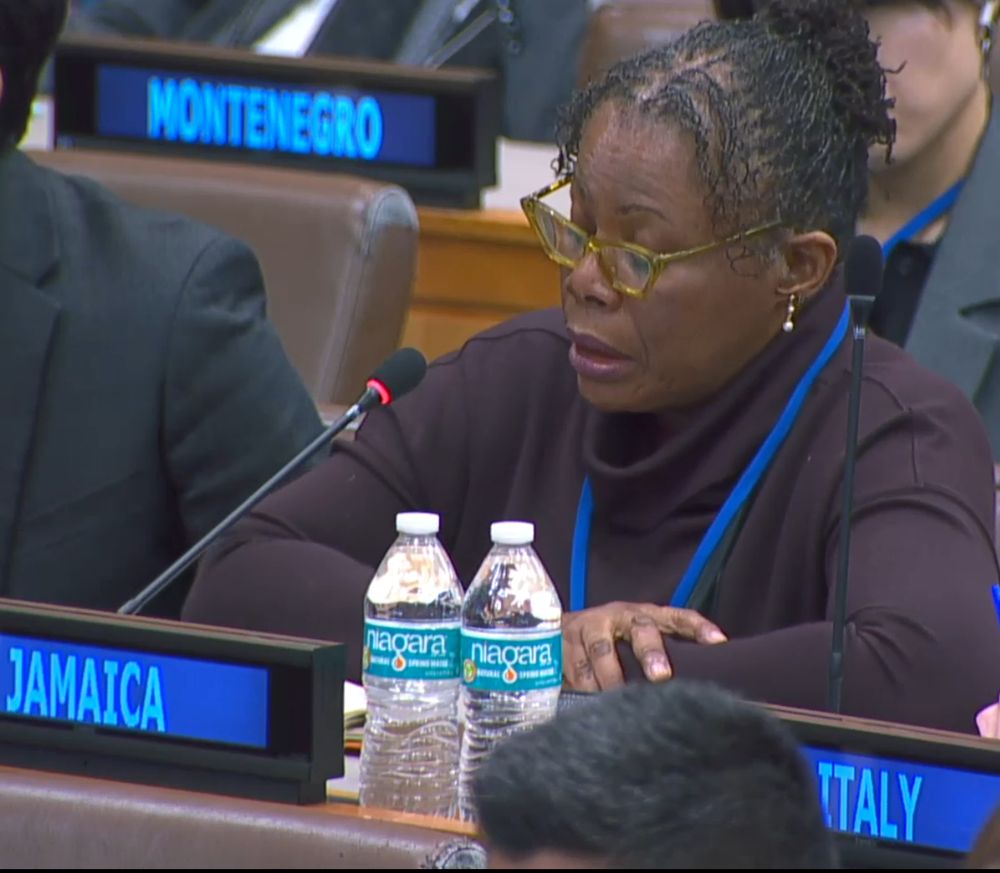 Jamaica delegate speaking at the Intergovernmental Negotiating Committee for the UN FCITC