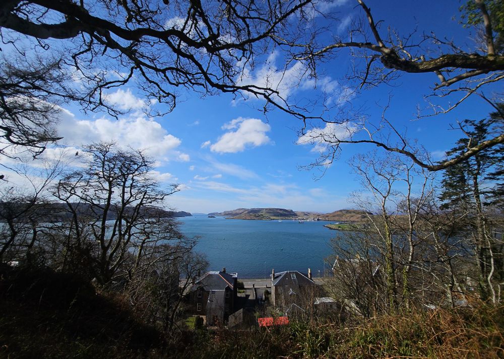A view of the sea taken from a forest with an island in the background