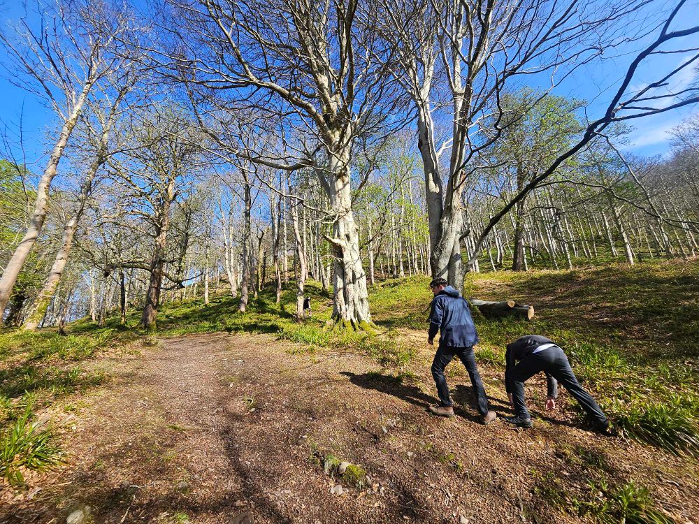 Two students sampling forest ecology