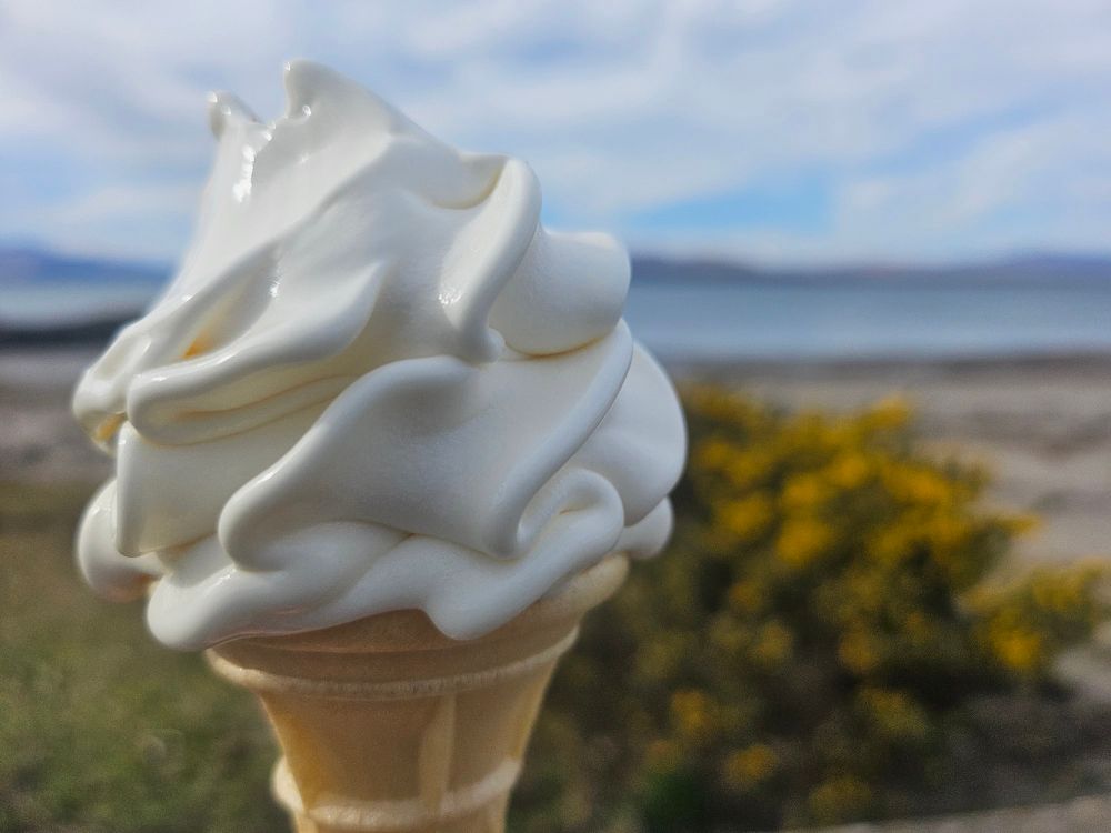 An ice cream with a flowering gauze and seascape in the background