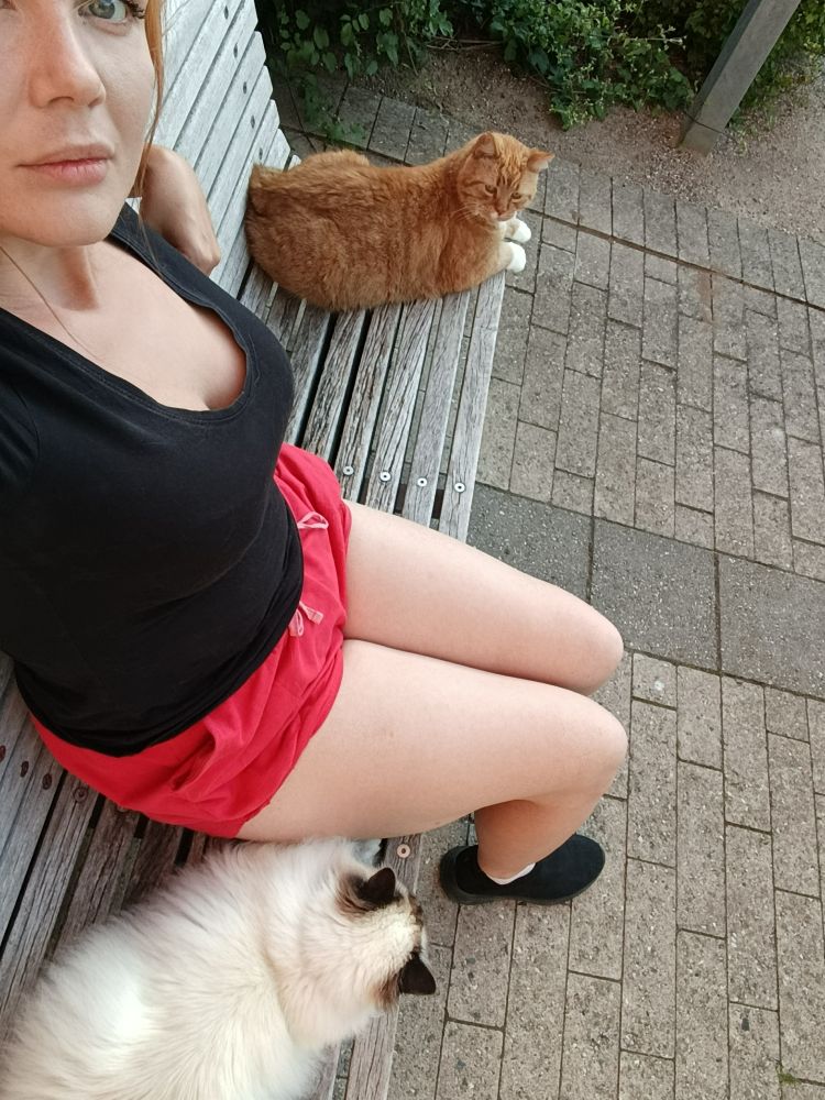 Good orange boy and good Birman boy, me as the buffee