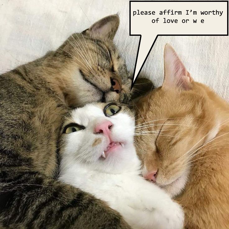 Comment image