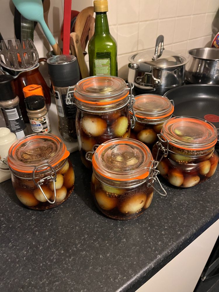 Five sealed preserving jars containing onions, vinegar and pickling spice.