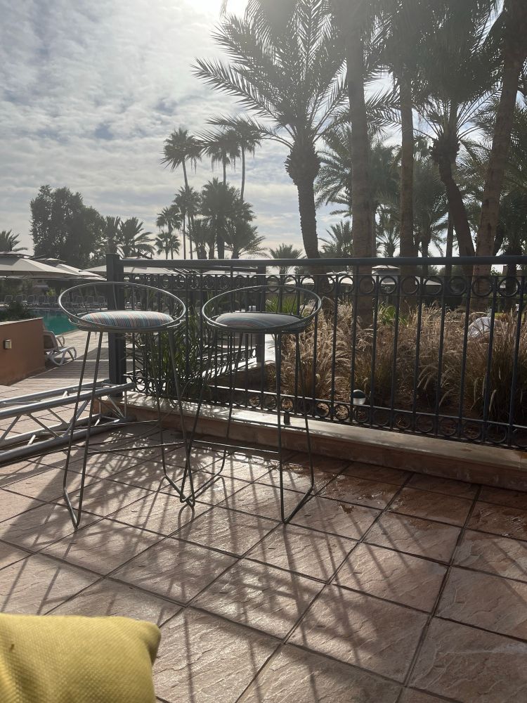 View of palm trees in sunshine 