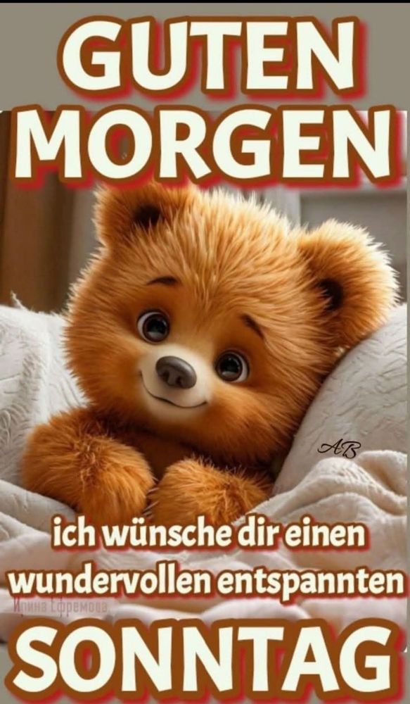 Kitschiges Kuschlbärchen, das mit Decke eingekuschelt ist. "Guten Morgen. Ich wünsche dir einen wundervollen entspannten Sonntag" 