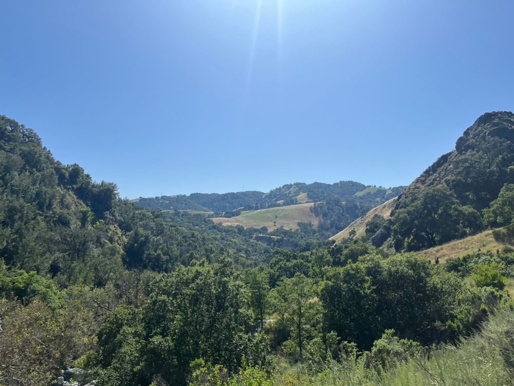 Landscape picture over California. It's mostly green with trees and hilly with a bright blue sky.