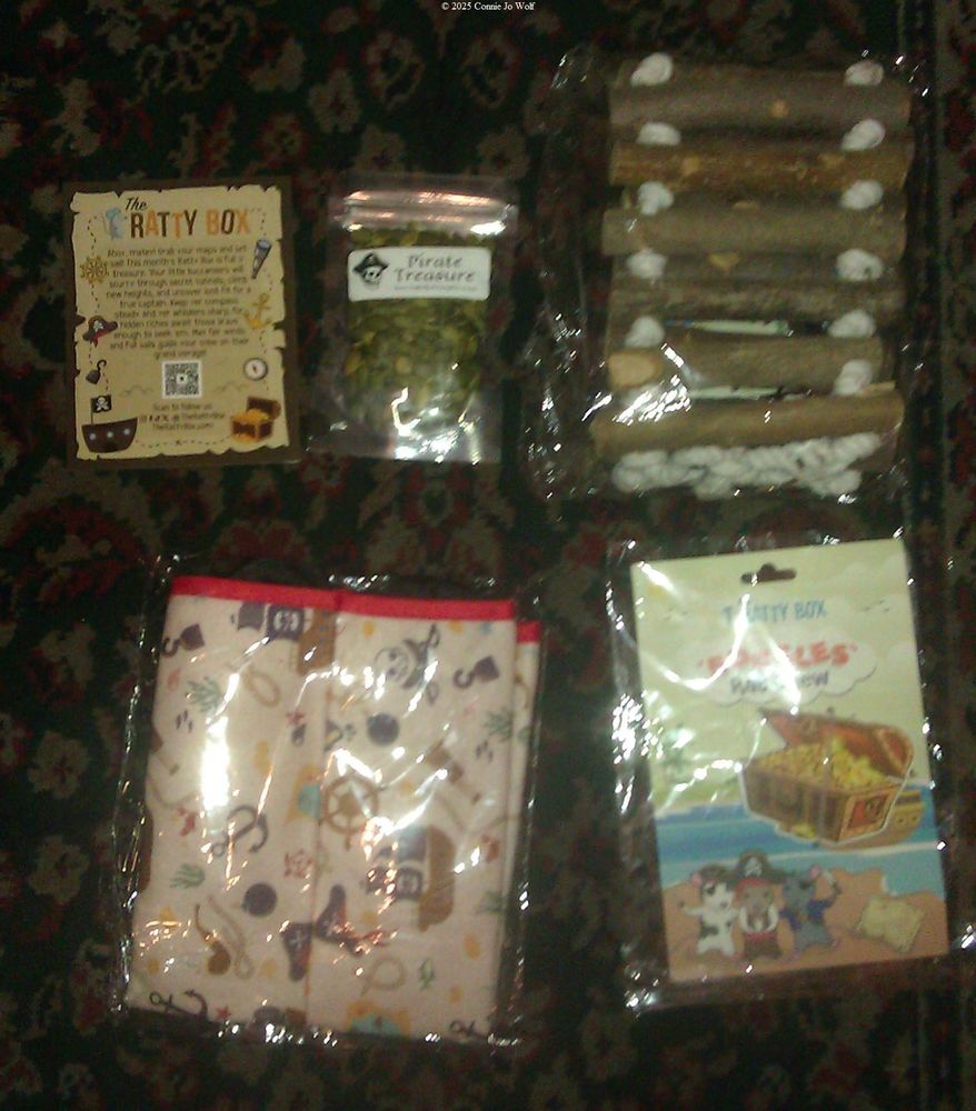 A card with text, a bag of unshelled raw pumpkin seeds, a wood-and-rope bridge (folded), a folded tube hammock with a nautical theme, and a treasure chest chew toy on a beach-themed card.