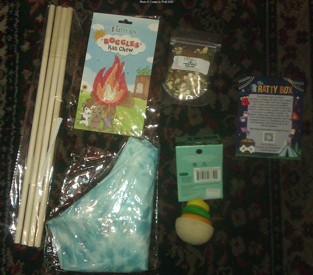 Mini tent poles, a blue and white cloth tent, a chew toy designed to look like fire, a treat of dried fruit with pepitas and oats, a wooden chew toy, and a card.