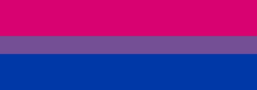 Bi Pride Flag