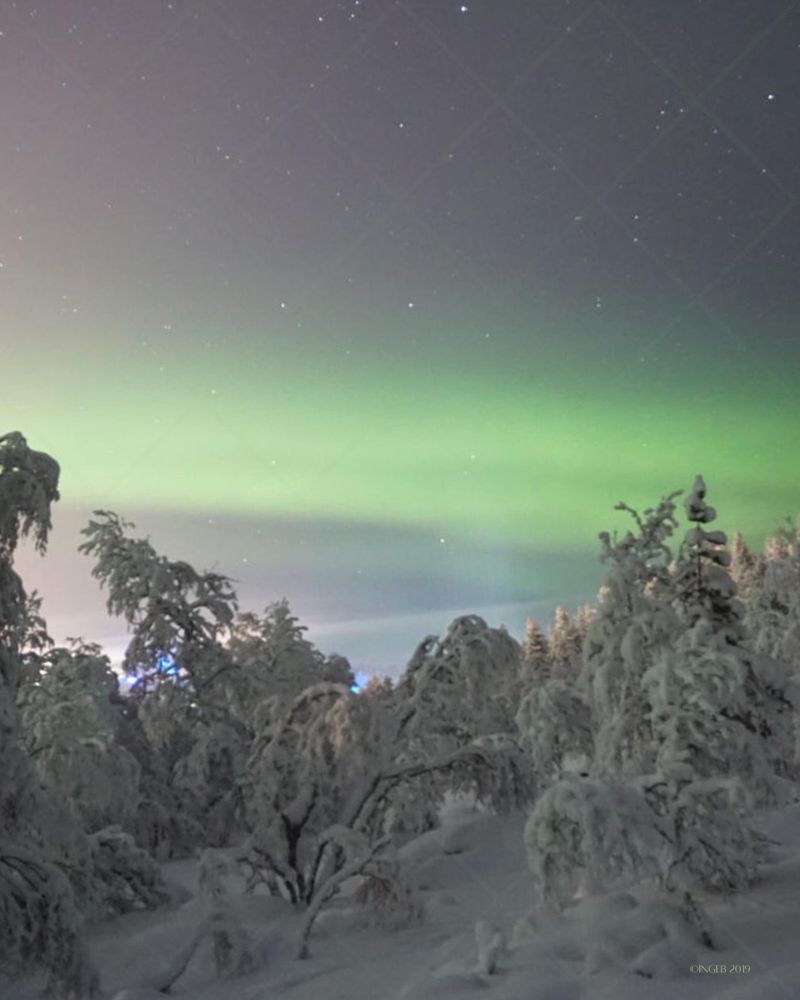 In shades of green, rose, and blue, the northern lights dance in the sky above a rose-tinted, snowy landscape.