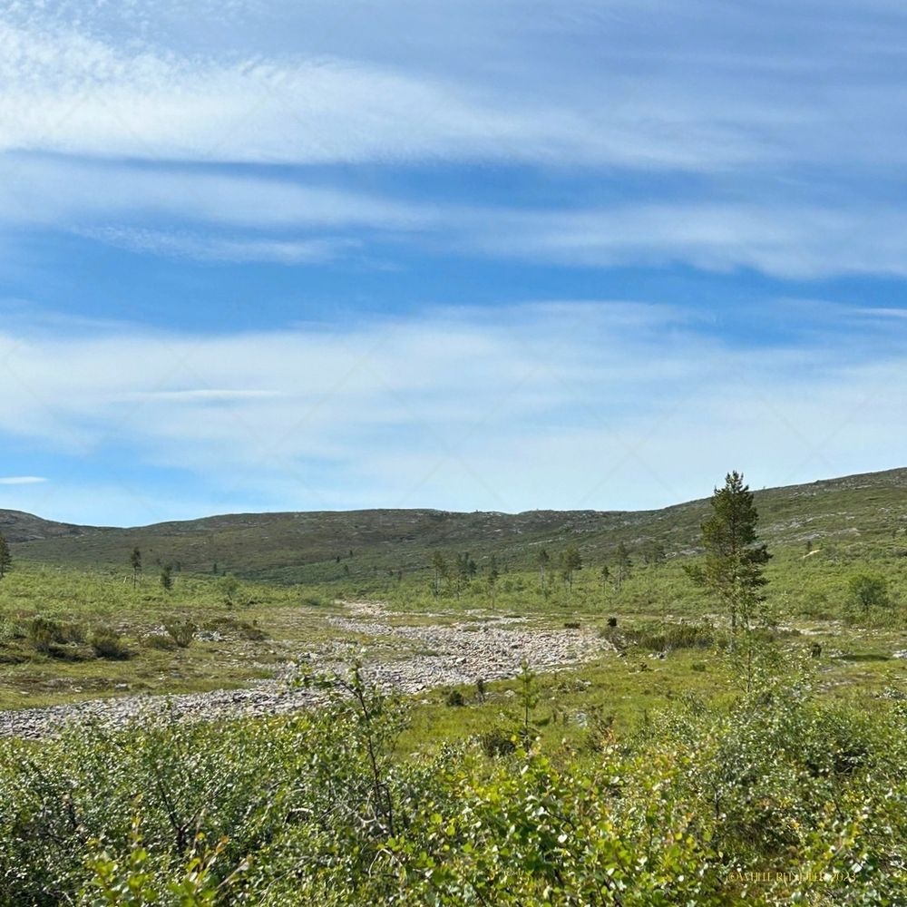 A green valley and dry stony stream, still beneath the soft, fleeting Arctic summer light.