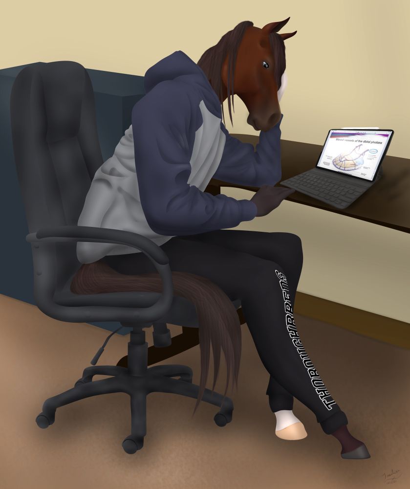 Bat Arabian anthro horse wearing a hoodie and sweatpants studying hoof anatomy on an iPad while sitting at a desk. 