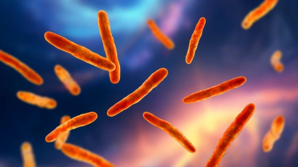 Medical science has made great strides in fighting TB, but reducing poverty is imperative | News24