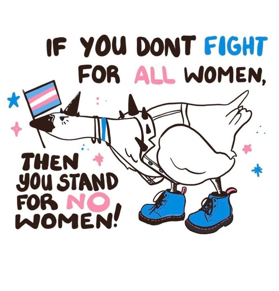 An aggressive goose holding a trans flag, with text that reads "if you don't fight for all women, then you stand for no women."