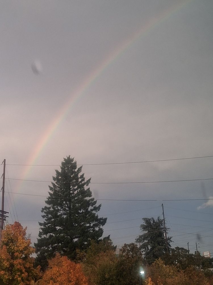 A rainbow over fall trees. 
