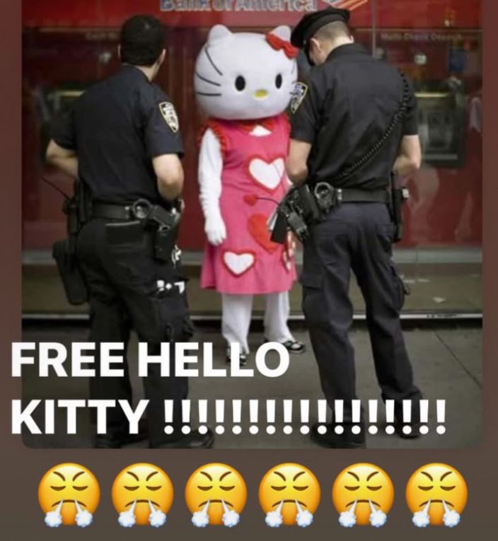 Someone in a hello kitty costume facing down a couple cops