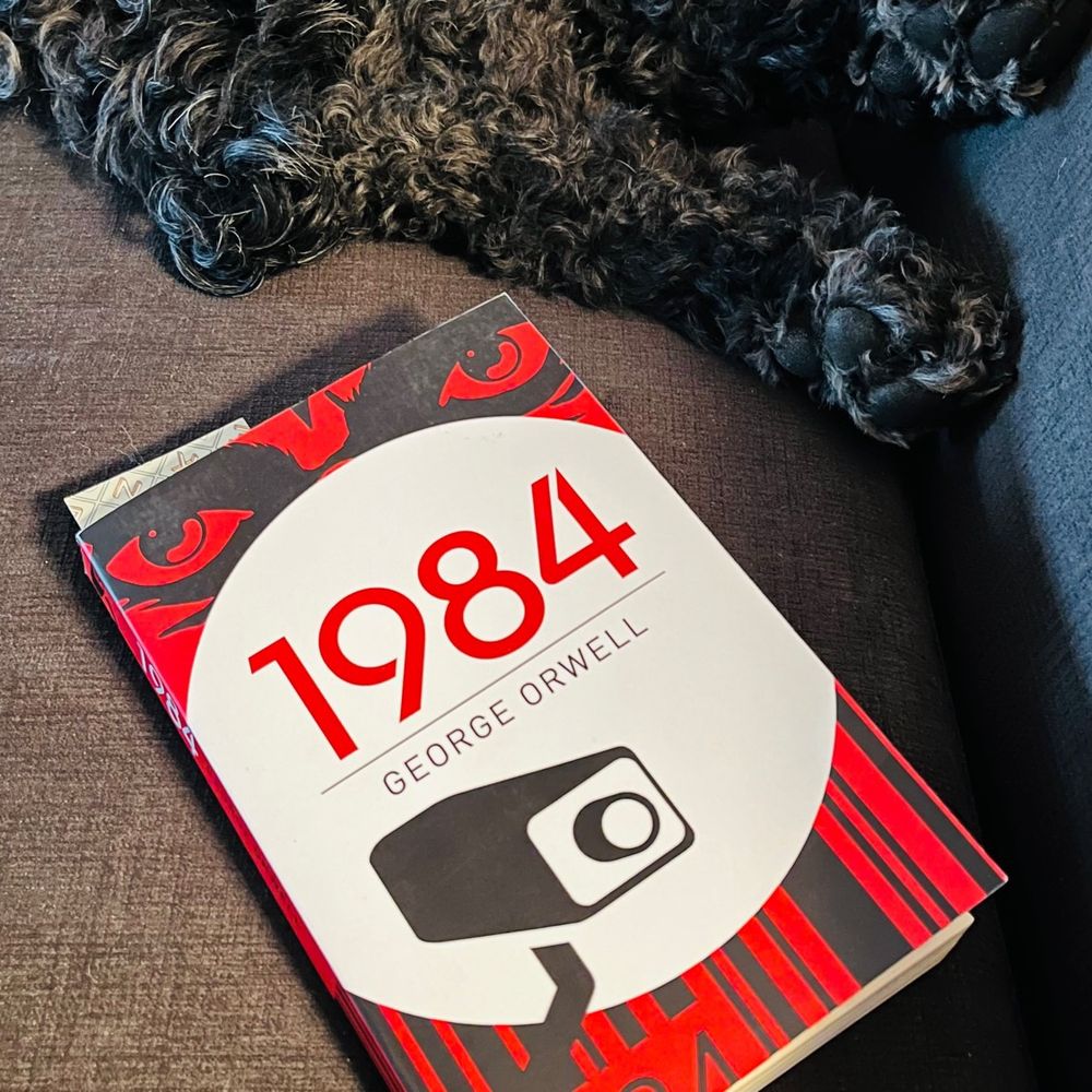 A red, black, and white book sits on a grey couch the the legs of a black curly-haired dog in the background. The book is 1984 by George Orwell. The cover features images of a surveillance camera and an intense pair of eyes staring back at you.