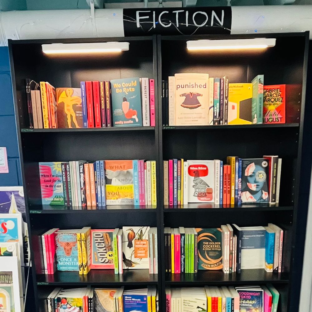 Two bookshelves of brightly coloured books. At the top of the shelves it says “Fiction”. Some of the titles include: We Could Be Rats, What I Know About You, Once a Monster, Sokcho, Punished, The Golden Cockerel.