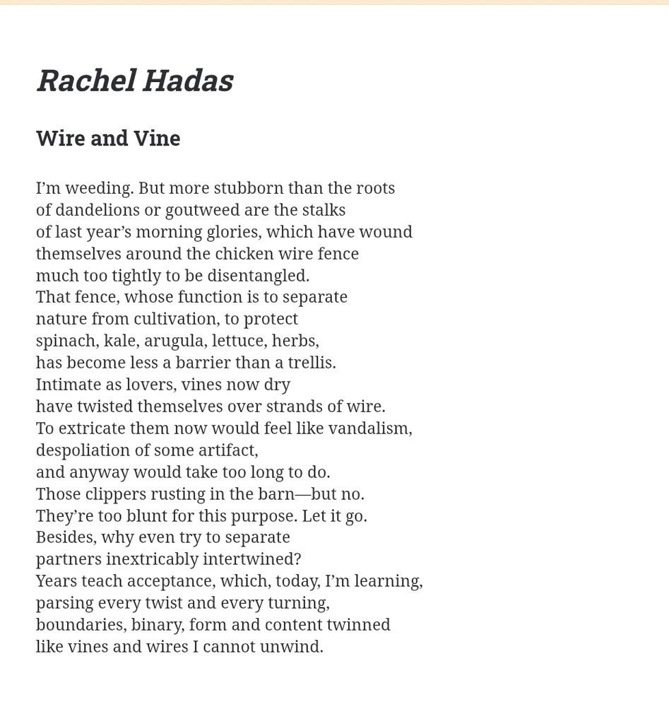Rachel Hadas
Wire and Vine

I’m weeding. But more stubborn than the roots

of dandelions or goutweed are the stalks

of last year’s morning glories, which have wound

themselves around the chicken wire fence

much too tightly to be disentangled.

That fence, whose function is to separate

nature from cultivation, to protect

spinach, kale, arugula, lettuce, herbs,

has become less a barrier than a trellis.

Intimate as lovers, vines now dry

have twisted themselves over strands of wire.

To extricate them now would feel like vandalism,

despoliation of some artifact,

and anyway would take too long to do.

Those clippers rusting in the barn—but no.

They’re too blunt for this purpose. Let it go.

Besides, why even try to separate

partners inextricably intertwined?

Years teach acceptance, which, today, I’m learning,

parsing every twist and every turning,

boundaries, binary, form and content twinned

like vines and wires I cannot unwind.