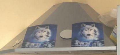 Une hotte de cuisson avec des images de loups qui ont l'air collées dessus ? 