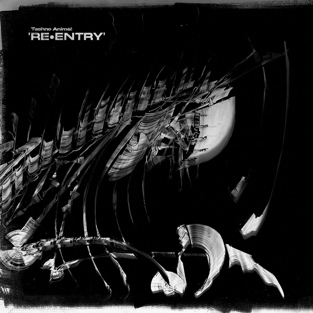 Cover of Re-Entry (2023 Remaster) by Techno Animal
Cover shows a distorted black & white picture/drawing/photograph. Looks like a synthetic skeleton but I have no idea what actually is. 
