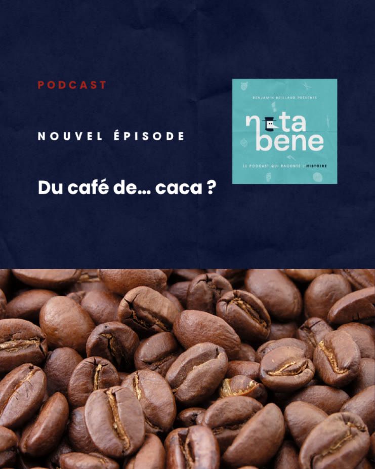 Nouvel épisode bref du podcast Nota Bene sur le Kopi Luwak. Photographie faisant un gros plan sur des grains de café grillés.