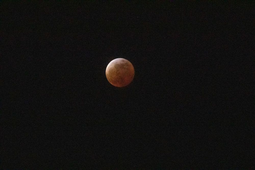 lunar eclipse (taken from Los Angeles)