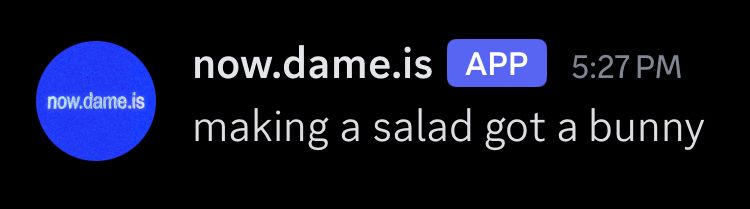 fatal typo: now.dame.is “making a salad got a bunny”