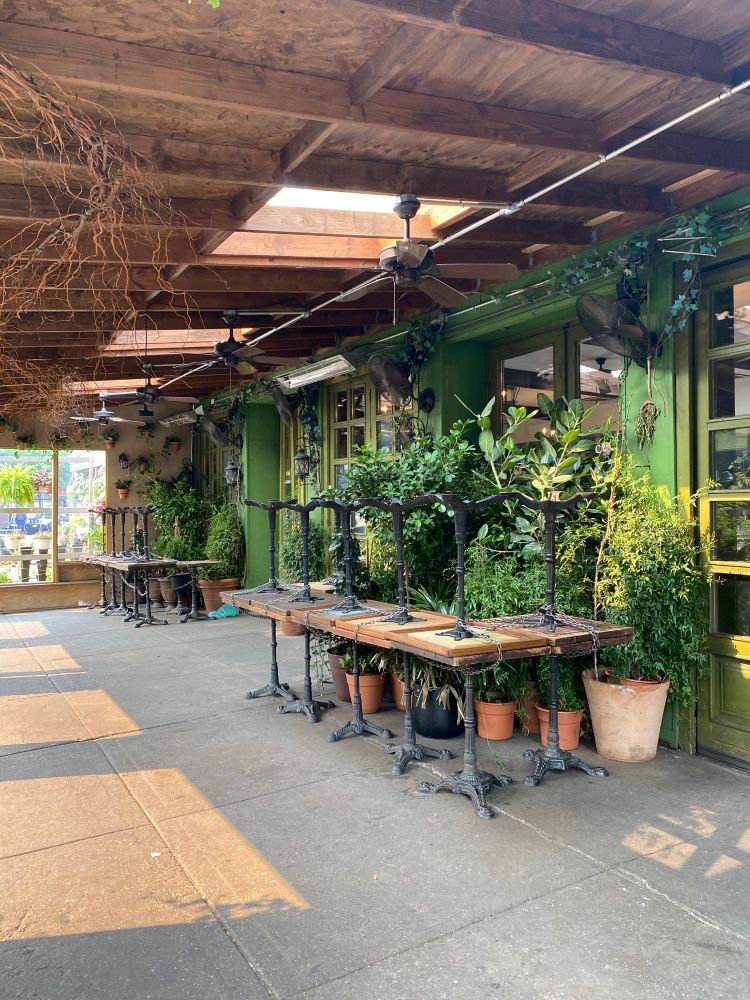The exterior of Olio E Più before opening hours. Plants are tucked behind stacked tables, and ceiling fans hangs above, slightly offset from skylights.