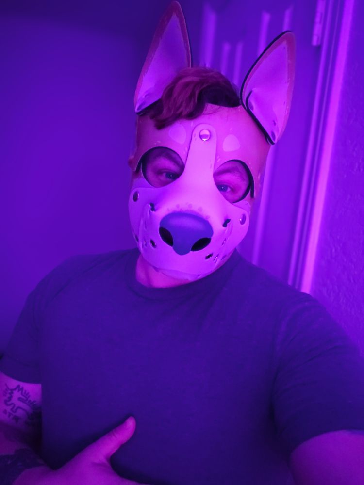 A person wearing a GrungeBunny pup hood. (They/Them)