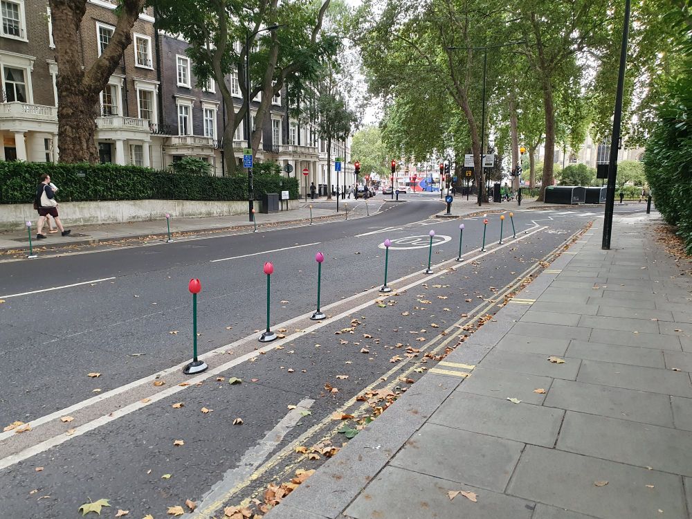 A road with a cycle lane, with a row of flexible bollards shaped and painted to look like tulips placed between the cycle lane and general traffic lane