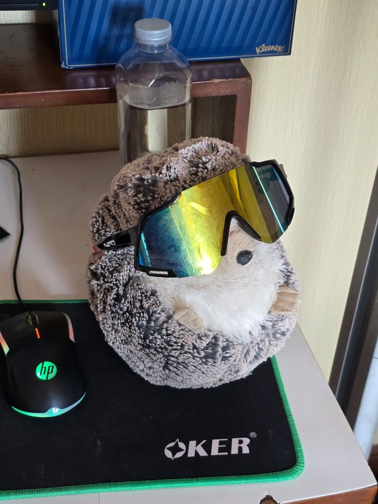 A hedgehog plushie sitting on a desk, wearing wraparound sunglasses. 
