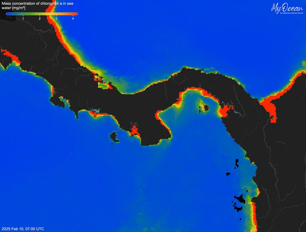 Extremely low chlorophyll concentrations in the oceans around Panama (blue = low, red = high) in February 2025, revealing the failure of the 2025 upwelling in the Gulf of Panama—for the first time in at least 40 years. Credit: Aaron O’Dea