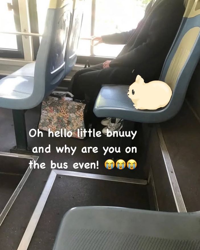 a small slugcat loafing on a bus seat. the image is captioned "Oh hello little bnuuy and why are you on the bus even!" with three sobbing emojis