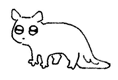 a slugcat on all fours with big sparkly eyes