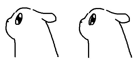 a slugcat looking sideways at the viewer