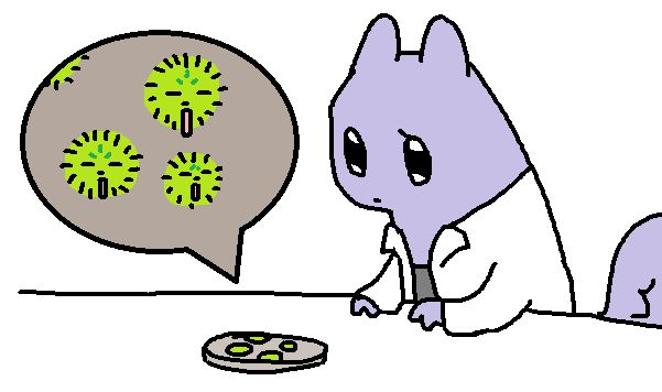 a purple slugcat wearing a lab coat looking down at a petri dish. inside the petri dish are fluffy mold spores that look like saint.