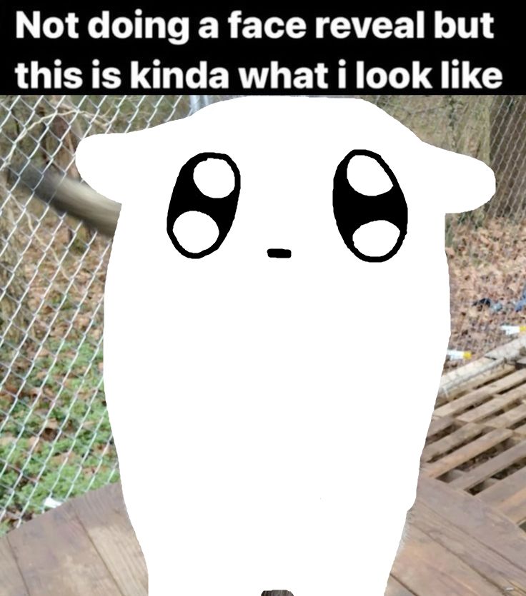 a slugcat standing in a pen, looking at the viewer with big eyes. text above reads "not doing a face reveal but this is kinda what i look like"